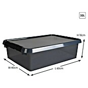 Sunware Opbergbox Comfort Line (l x b x h: 60 x 40 x 18 cm, Transparant grijs, Kunststof) | BAUHAUS