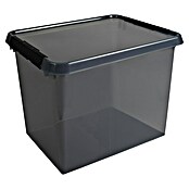 Sunware Opbergbox Comfort Line (l x b x h: 50 x 40 x 38 cm, Transparant grijs, Kunststof) | BAUHAUS