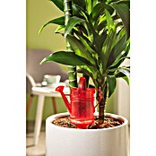 Scheurich Wasserspeicher Nelly (Fassungsvermögen: 0,11 l, Red) | BAUHAUS
