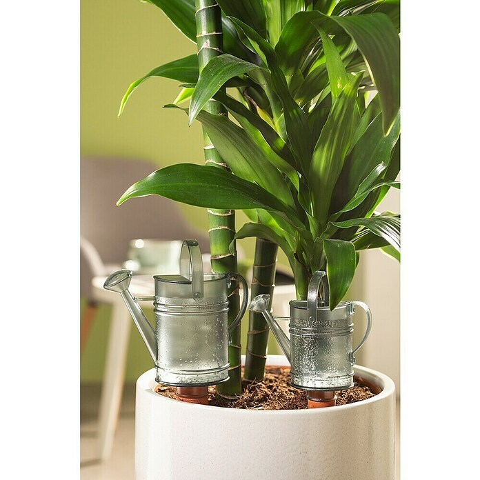 Scheurich Wasserspeicher Nelly (Fassungsvermögen: 0,24 l, Grey) | BAUHAUS