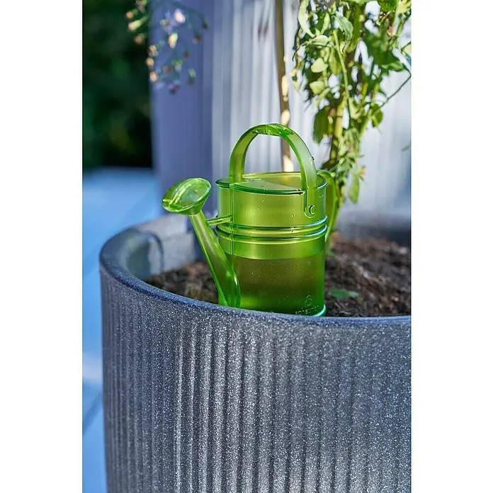 Scheurich Wasserspeicher Nelly - Fassungsvermögen: 0,11 l, Green - Ein grüner Miniatur-Gießkanne sitzt in einem grauen Topf mit Blumenerde und einer Pflanze.