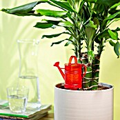 Scheurich Wasserspeicher Nelly (Fassungsvermögen: 0,11 l, Red) | BAUHAUS