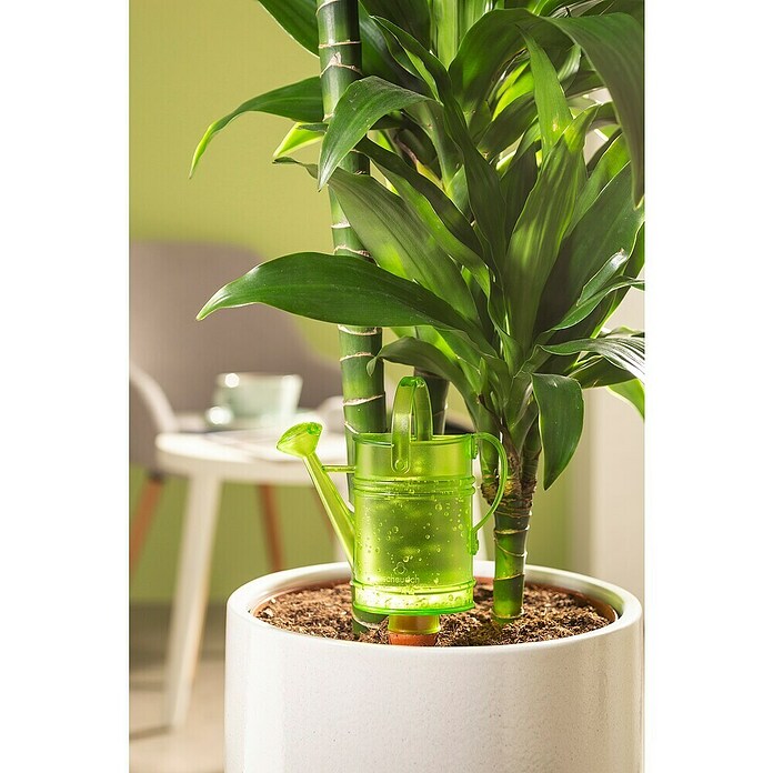 Scheurich Wasserspeicher Nelly (Fassungsvermögen: 0,24 l, Green) | BAUHAUS
