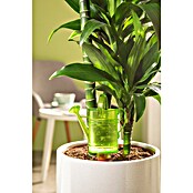 Scheurich Wasserspeicher Nelly (Fassungsvermögen: 0,24 l, Green) | BAUHAUS