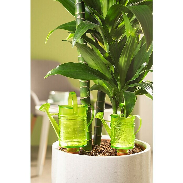 Scheurich Wasserspeicher Nelly (Fassungsvermögen: 0,11 l, Green) | BAUHAUS