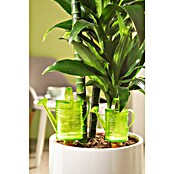 Scheurich Wasserspeicher Nelly (Fassungsvermögen: 0,11 l, Green) | BAUHAUS