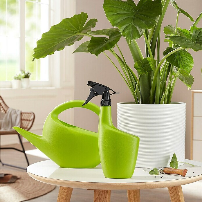 Scheurich Gießkanne Smilla (Matt Green, 1,6 l) | BAUHAUS