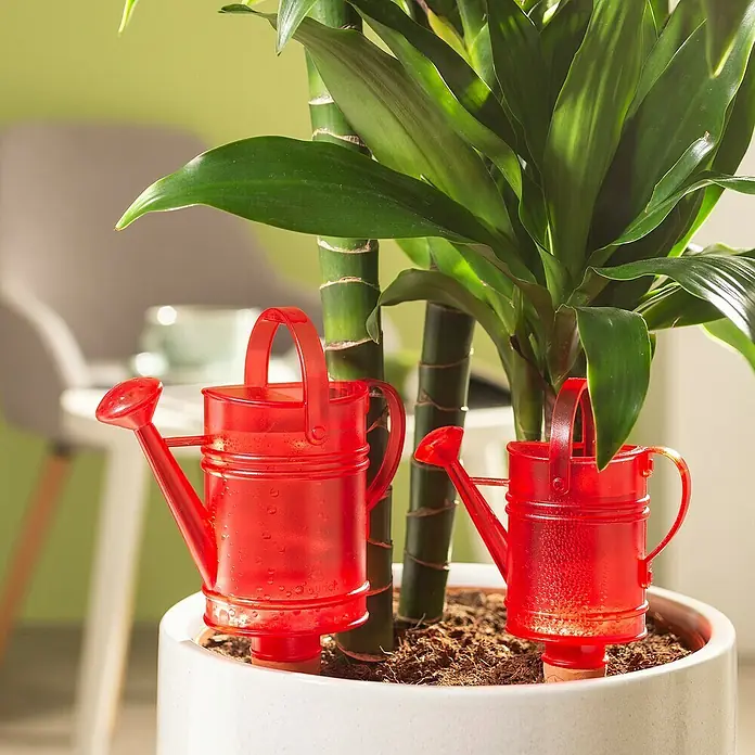 Scheurich Wasserspeicher Nelly - Fassungsvermögen: 0,24 l, Red - Nahaufnahme von zwei Bewässerungskannen von tränke im Blumentopf, die die Pflanze automatisch bewässern.