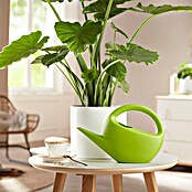 Scheurich Gießkanne Smilla (Matt Green, 1,6 l) | BAUHAUS