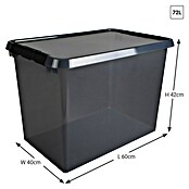 Sunware Opbergbox Comfort Line (l x b x h: 60 x 40 x 42 cm, Transparant grijs, Kunststof) | BAUHAUS
