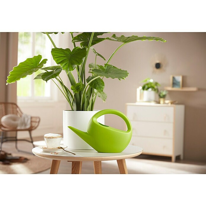 Scheurich Gießkanne Smilla (Matt Green, 1,6 l) | BAUHAUS