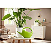 Scheurich Gießkanne Smilla (Matt Green, 1,6 l) | BAUHAUS