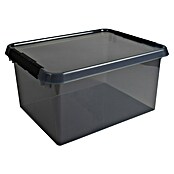 Sunware Opbergbox Comfort Line (l x b x h: 50 x 40 x 26 cm, Transparant grijs, Kunststof) | BAUHAUS