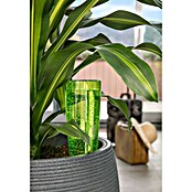 Scheurich Wasserspender Copa (500 ml, Green) | BAUHAUS