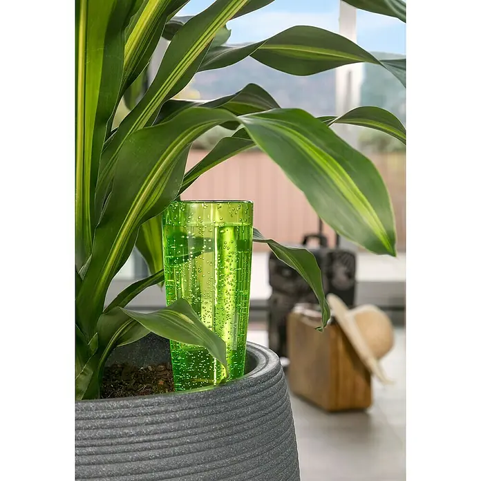 Scheurich Wasserspender Copa - 500 ml, Green - Ein grünes Bewässerungsgerät mit Luftblasen sitzt in einem Topf mit einer Zimmerpflanze, perfekt für die Bewässerung, wenn Sie nicht zu Hause sind.