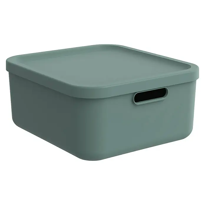 Rotho Aufbewahrungsbox - L x B x H: 39,5 x 35,5 x 17,7 cm, Kunststoff, Mistelzweiggrün, 20 l - Geschlossene, quadratische Aufbewahrungsbox aus Kunststoff in blaugrüner Farbe mit abgerundeten Ecken und Griffen.