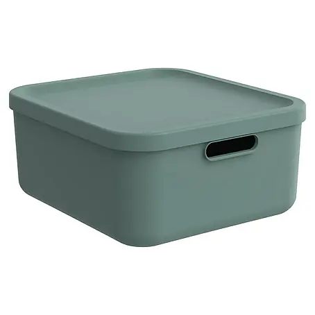 Rotho  Aufbewahrungsbox