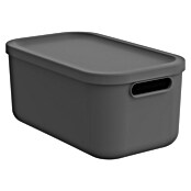 Rotho Aufbewahrungsbox Albula (L x B x H: 39,5 x 35,5 x 17,7 cm, Kunststoff, Anthrazit, 20 l) | BAUHAUS