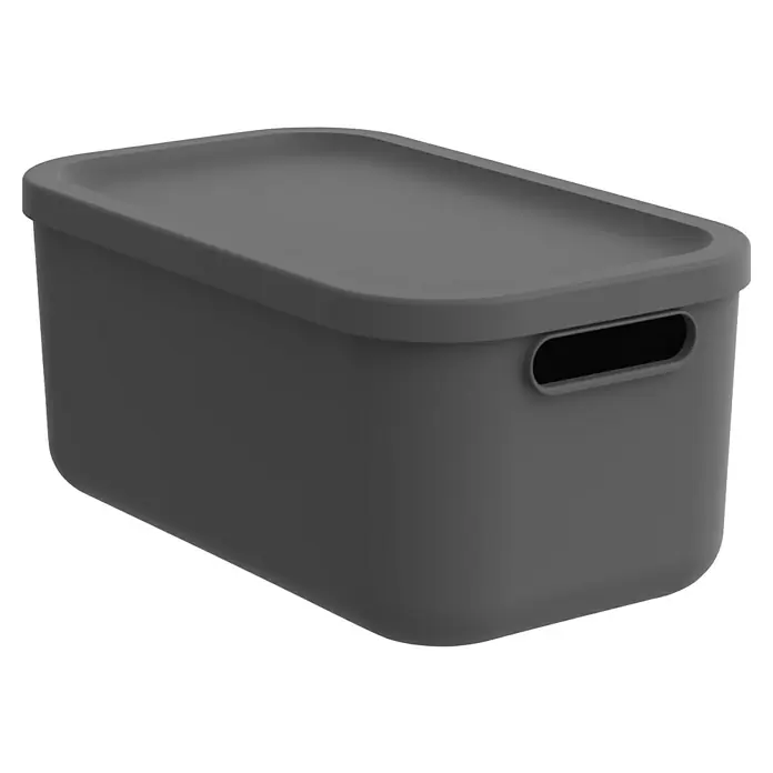Rotho Aufbewahrungsbox - L x B x H: 39,5 x 23,5 x 17,7 cm, Kunststoff, Anthrazit, 12 l - Ein grauer Aufbewahrungsbehälter mit Deckel und Griffen zur einfachen Handhabung und Lagerung diverser Gegenstände.