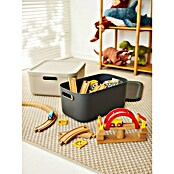 Rotho Aufbewahrungsbox Albula (L x B x H: 39,5 x 35,5 x 17,7 cm, Kunststoff, Anthrazit, 20 l) | BAUHAUS
