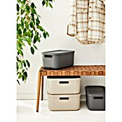 Rotho Aufbewahrungsbox Albula (L x B x H: 39,5 x 35,5 x 17,7 cm, Kunststoff, Anthrazit, 20 l) | BAUHAUS