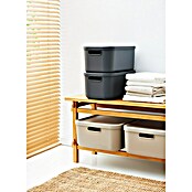 Rotho Aufbewahrungsbox Albula (L x B x H: 39,5 x 35,5 x 17,7 cm, Kunststoff, Anthrazit, 20 l) | BAUHAUS