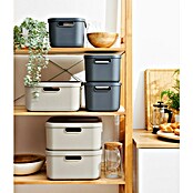 Rotho Aufbewahrungsbox Albula (L x B x H: 39,5 x 35,5 x 17,7 cm, Kunststoff, Anthrazit, 20 l) | BAUHAUS