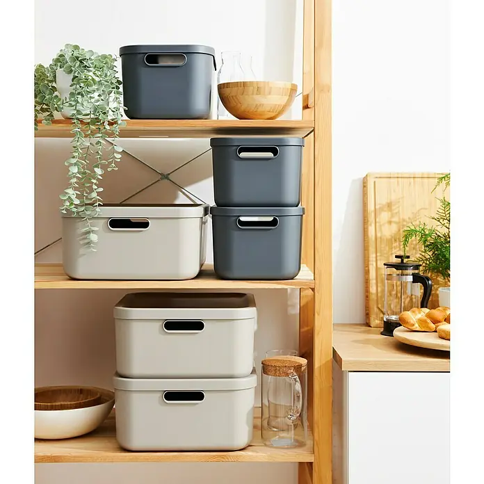 Rotho Aufbewahrungsbox - L x B x H: 39,5 x 35,5 x 17,7 cm, Kunststoff, Anthrazit, 20 l - Regale mit grauen und beigen Aufbewahrungsboxen, daneben Pflanzen und Küchenutensilien.