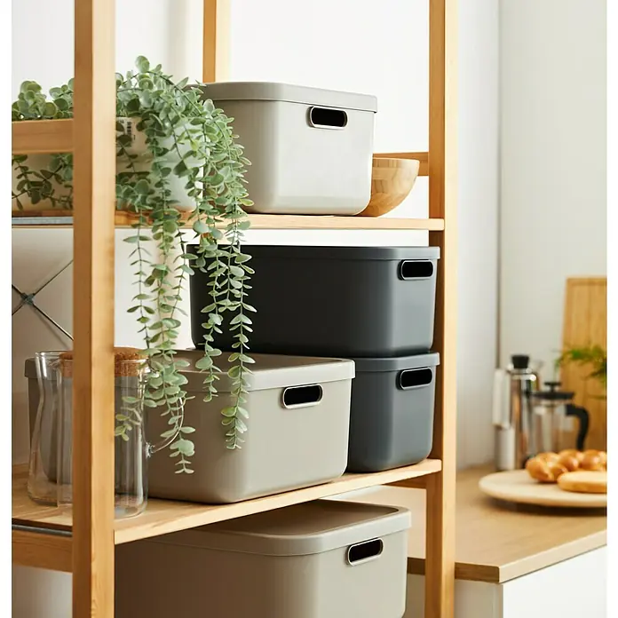 Rotho Aufbewahrungsbox - L x B x H: 39,5 x 35,5 x 17,7 cm, Kunststoff, Anthrazit, 20 l - Auf dem Holzregal befinden sich mehrere Aufbewahrungsboxen in verschiedenen Farben, die eine praktische und stilvolle Aufbewahrungslösung bieten.
