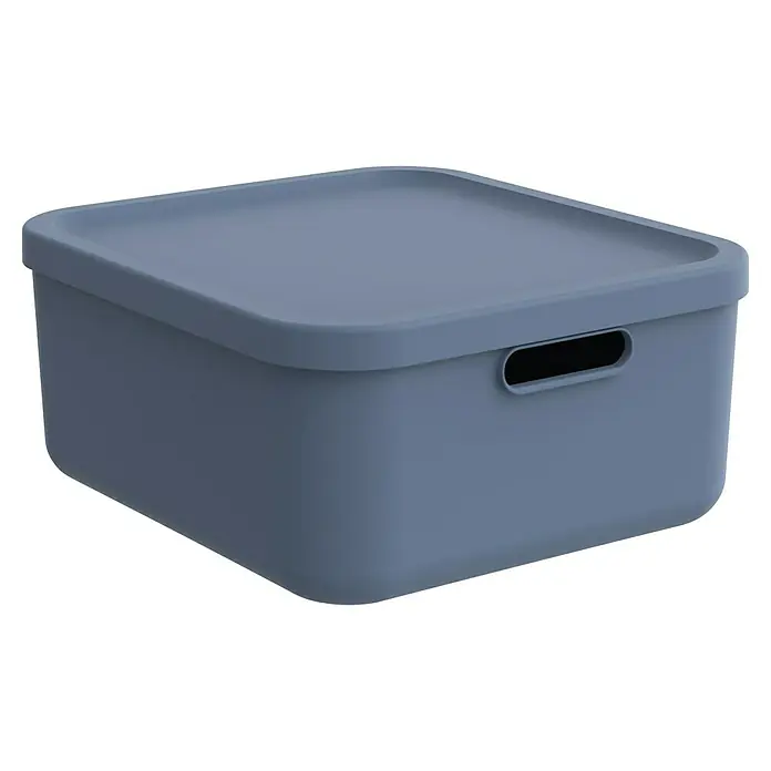 Rotho Aufbewahrungsbox - L x B x H: 39,5 x 35,5 x 17,7 cm, Kunststoff, Horizonblau, 20 l - Ein schlichter, blauer Aufbewahrungsbehälter mit Deckel und Griffmulden für einfache Handhabung und Ordnung im Alltag.