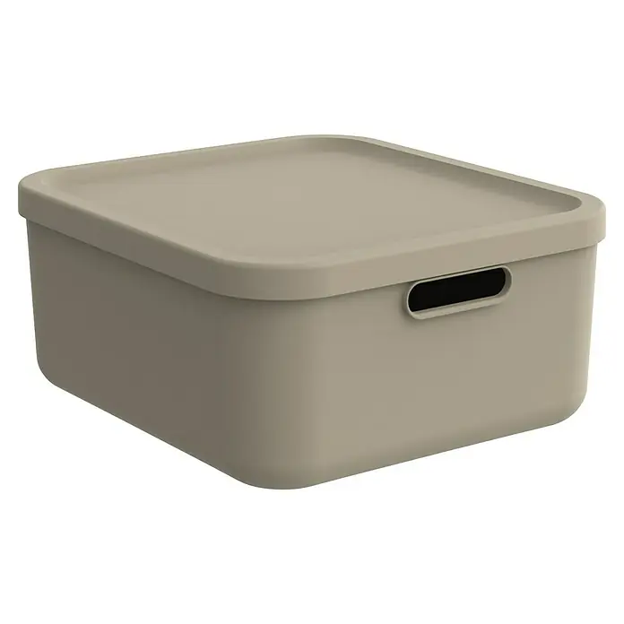Rotho Aufbewahrungsbox - L x B x H: 39,2 x 35,5 x 17,7 cm, Kunststoff, Cappuccino, 20 l - Beigefarbene Aufbewahrungsbox aus Kunststoff mit Deckel und praktischen Griffen, ideal zur Organisation von Gegenständen im Haushalt.