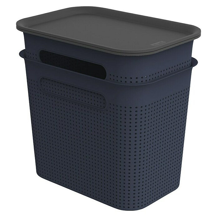 Rotho Aufbewahrungsbox Brisen (L x B x H: 265 x 185 x 260 mm, Kunststoff, Nachtblau, 7 l) | BAUHAUS