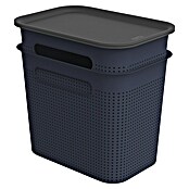 Rotho Aufbewahrungsbox Brisen (L x B x H: 265 x 185 x 260 mm, Kunststoff, Nachtblau, 7 l) | BAUHAUS