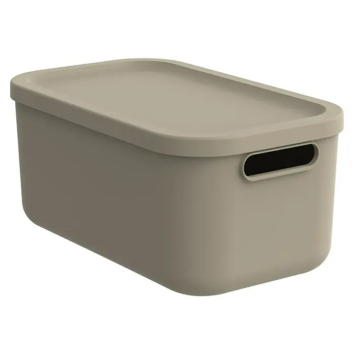 Rotho Aufbewahrungsbox - L x B x H: 39,5 x 23,5 x 17,7 cm, Kunststoff, Cappuccino, 12 l - Ein schlichter, sandfarbener Aufbewahrungsbehälter mit Deckel und Griffmulden für eine einfache Organisation im Alltag.