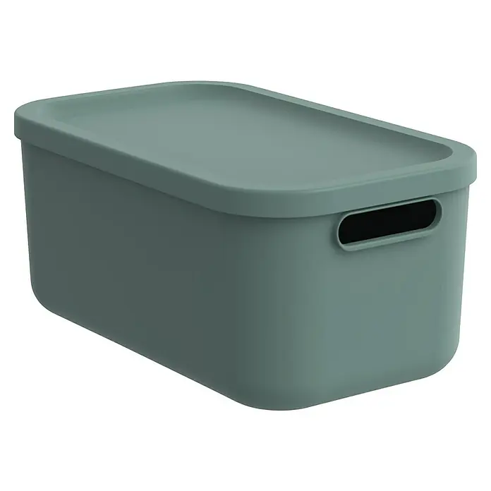 Rotho Aufbewahrungsbox - L x B x H: 39,2 x 23,5 x 17,7 cm, Kunststoff, Mistelzweiggrün, 12 l - Ein grüner Aufbewahrungsbehälter mit Deckel und seitlichen Griffen zur einfachen Handhabung. Ideal für die Organisation im Haushalt.