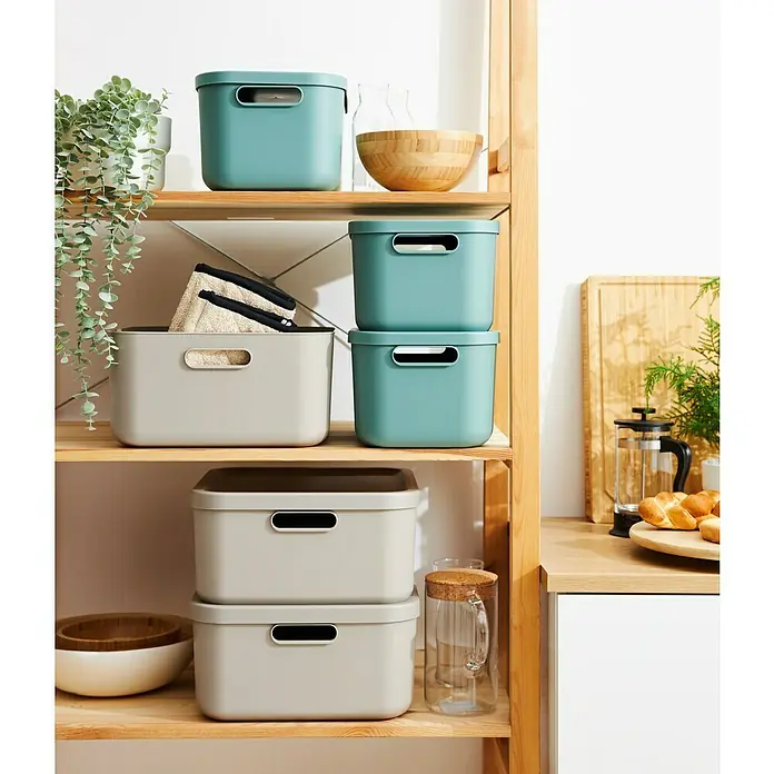 Rotho Aufbewahrungsbox - L x B x H: 39,2 x 23,5 x 17,7 cm, Kunststoff, Mistelzweiggrün, 12 l - Auf einem Holzregal stehen mehrere blaue und graue Aufbewahrungsboxen mit Deckel. Die Boxen sind in verschiedenen Größen und Formen vorhanden.