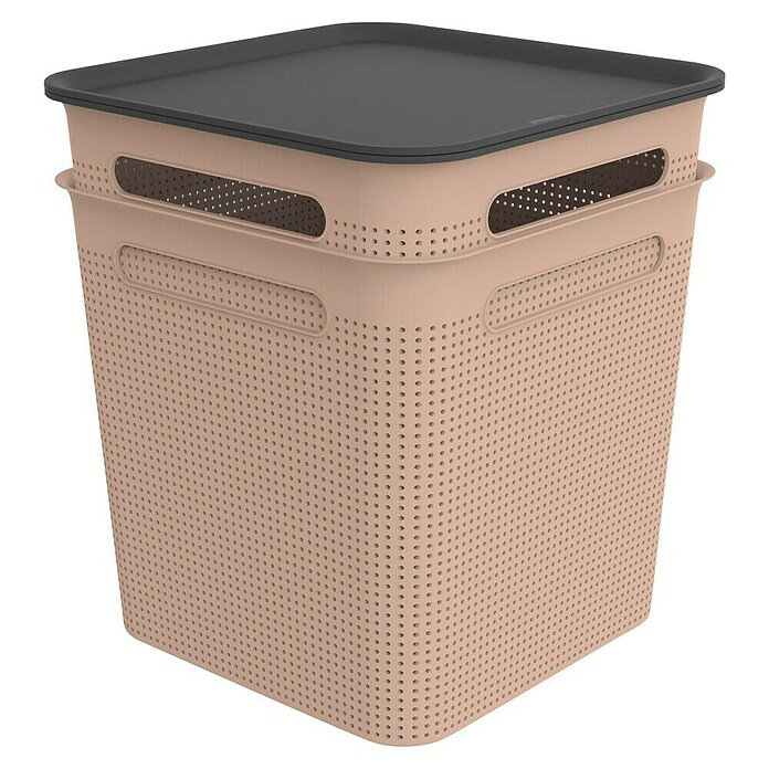 Rotho Aufbewahrungsbox Brisen (L x B x H: 293 x 293 x 330 mm, Kunststoff, Rosa, 18 l) | BAUHAUS