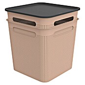 Rotho Aufbewahrungsbox Brisen (L x B x H: 293 x 293 x 330 mm, Kunststoff, Rosa, 18 l) | BAUHAUS