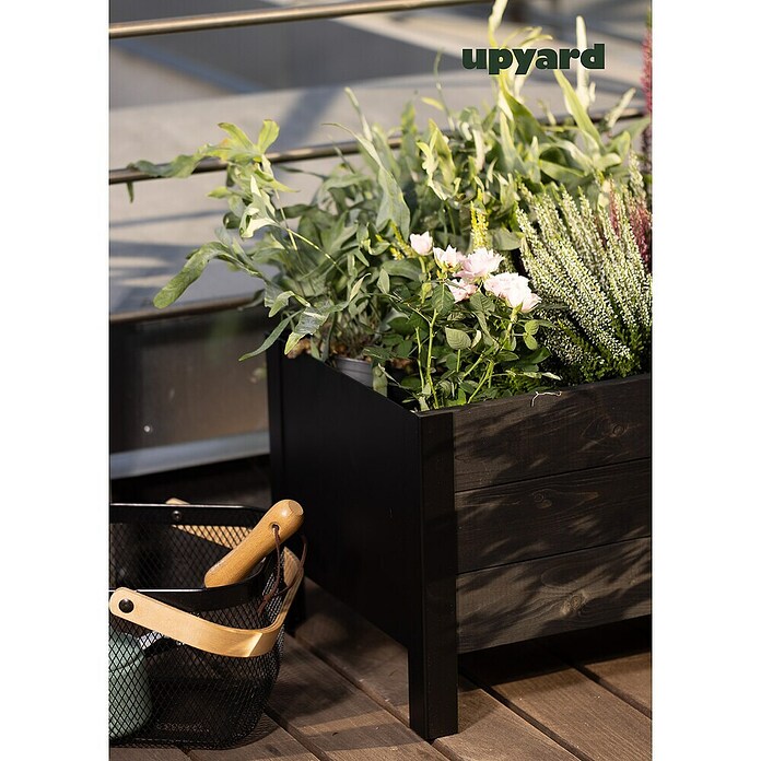 Upyard Pflanzkasten Modernbox niedrig (36 x 36 x 32 cm, Holz, Schwarz) | BAUHAUS