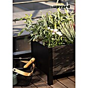 Upyard Pflanzkasten Modernbox niedrig (36 x 36 x 32 cm, Holz, Schwarz) | BAUHAUS