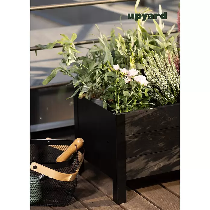 Upyard Pflanzkasten Modernbox niedrig - 36 x 36 x 32 cm, Holz, Schwarz - Dunkler Pflanzkasten aus Holz, bepflanzt, auf einer Holzterrasse neben einem Gartenkorb.