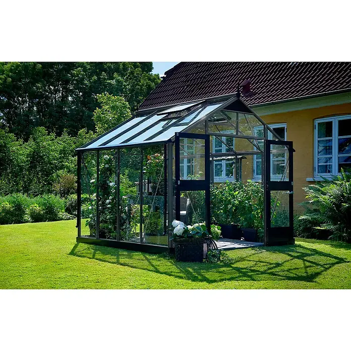 Juliana Gewächshaus Premium - Außenmaß inkl. Dachüberstand (B x T): 296 x 296 cm, Material Seitenwand: Glas, 3 mm, Schwarz - Ein Gewächshaus mit Pflanzen steht auf einer grünen Wiese vor einem Haus. Das Glasgewächshaus ist mit Blumen und Pflanzen gefüllt.