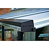 Juliana Gewächshaus Veranda (1,49 x 2,96 x 2,31 m, Sicherheitsglas, Glasstärke: 3 mm, Silber)