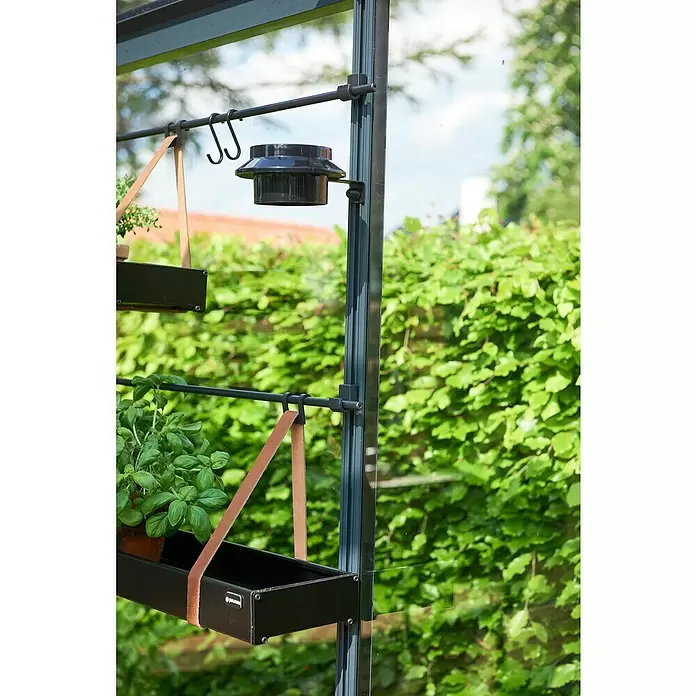 Juliana Gewächshaus Premium - Außenmaß inkl. Dachüberstand (B x T): 296 x 296 cm, Material Seitenwand: Glas, 3 mm, Anthrazit/Schwarz - Schwarze Hängepflanzgefäße aus Metall mit braunen Lederriemen und S-Haken an einer Stange im Gewächshaus.
