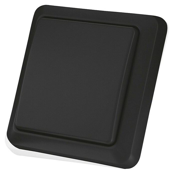 KlikAanKlikUit Waterdichte behuizing (l x b x h: 2,1 x 8 x 8 cm, Passend bij: Smart Bridge / Internet Control Station ICS-2000, Start-line ontvangers) | BAUHAUS