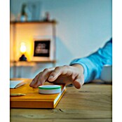KlikAanKlikUit Afstandsbediening (Passend bij: Smart Bridge/Internet Control Station ICS-2000, Start-line ontvangers, Wit) | BAUHAUS