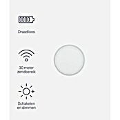KlikAanKlikUit Afstandsbediening (Passend bij: Smart Bridge/Internet Control Station ICS-2000, Start-line ontvangers, Wit) | BAUHAUS