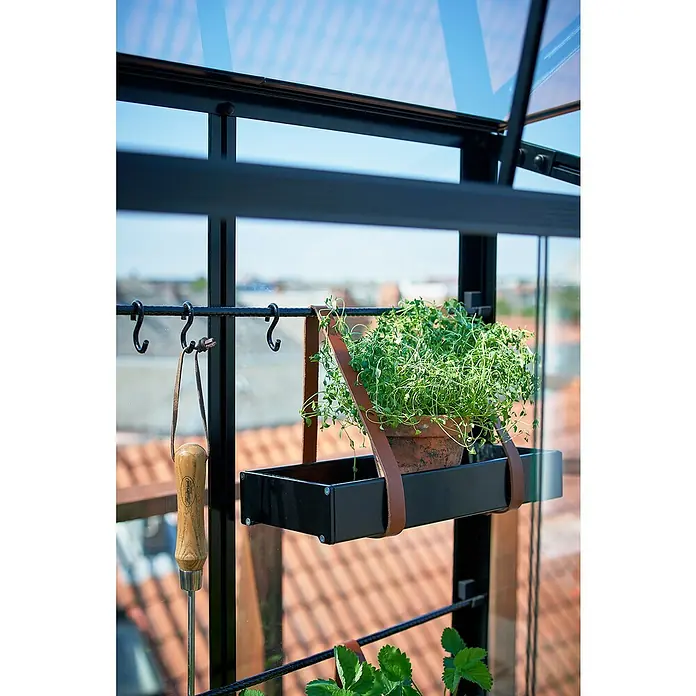 Juliana Gewächshaus - Außenmaß inkl. Dachüberstand (B x T): 80 x 40 cm, Material Seitenwand: Glas, 4 mm, Schwarz - Nahaufnahme eines hängenden Pflanzgefäßes mit Lederriemen in einem Gewächshaus, das eine rustikale und praktische Gartendekoration zeigt.