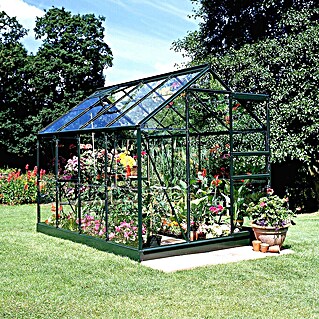 Halls Gewächshaus Popular 86 (Außenmaß inkl. Dachüberstand (B x T): 193 x 257 cm, Material Seitenwand: Glas, 3 mm, Grün)