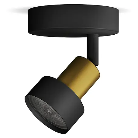 Philips  Foco de pared Conduit